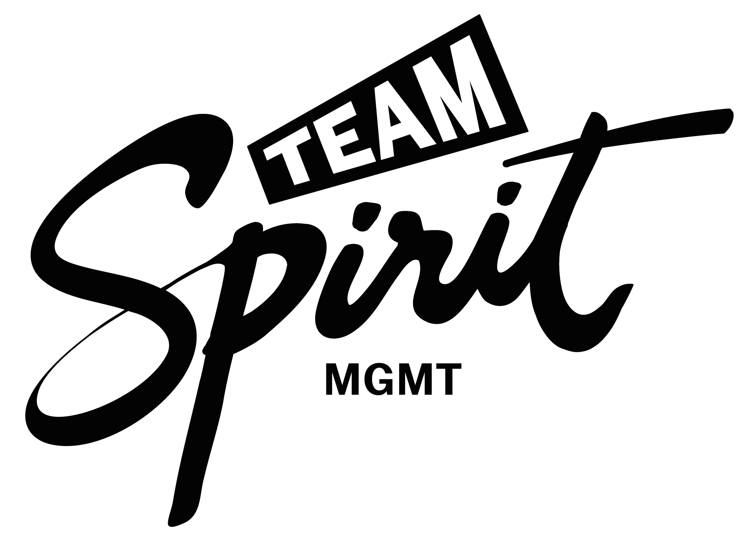 Team Spirit Mgmt
